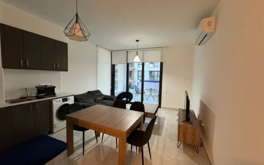 1 Bedroom apartment in New Marina (P23-203)