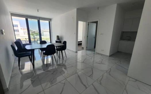 Modern 1-bedroom apartment in Livadia (P43-102)